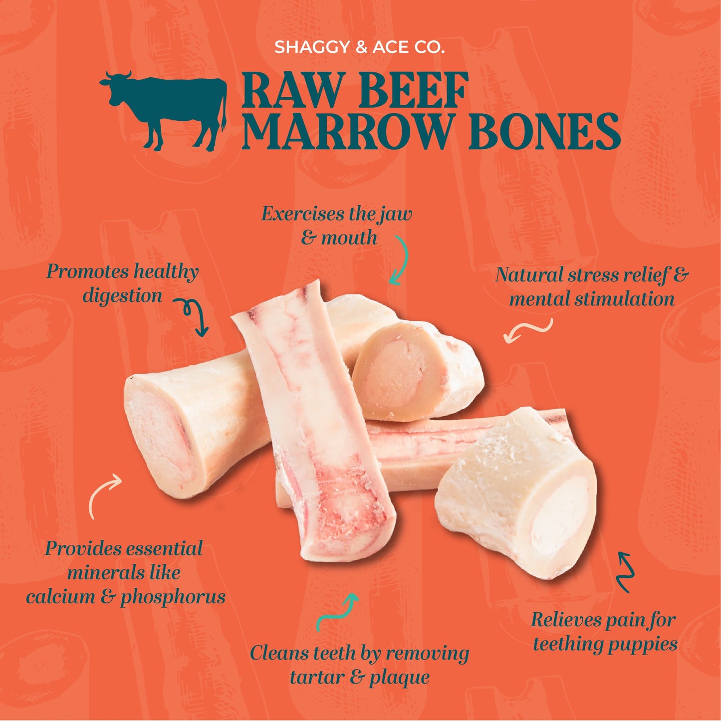 Shaggy & Ace Co. Raw Beef Marrow Bone